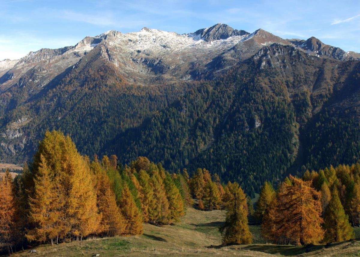 Alla Scoperta Del Parco Dell Adamello Green Planet